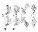 Fig. 11 - NOVEL BIOMARKER DETECTION WITH MOLECULAR IMPRINTS
