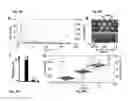 Fig. 14 - NOVEL BIOMARKER DETECTION WITH MOLECULAR IMPRINTS