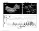 Fig. 15 - NOVEL BIOMARKER DETECTION WITH MOLECULAR IMPRINTS