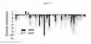 Fig. 20 - NOVEL BIOMARKER DETECTION WITH MOLECULAR IMPRINTS