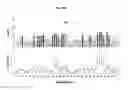 Fig. 23 - NOVEL BIOMARKER DETECTION WITH MOLECULAR IMPRINTS