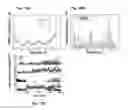 Fig. 24 - NOVEL BIOMARKER DETECTION WITH MOLECULAR IMPRINTS