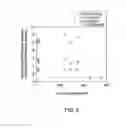 Fig. 08 - Porous membranes with a polymer grafting, methods and uses thereof