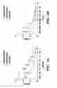 Fig. 06 - Assays for antimicrobial activity and applications thereof