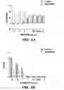 Fig. 07 - Assays for antimicrobial activity and applications thereof