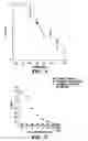 Fig. 08 - Assays for antimicrobial activity and applications thereof