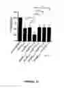 Fig. 21 - OMPA AND ASP14 IN VACCINE COMPOSITIONS AND AS DIAGNOSTIC TARGETS