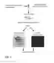 Fig. 02 - METHOD OF DETECTING AND IDENTIFYING CIRCULATING ANTIGENS IN HUMAN BIOLOGICAL SAMPLES