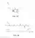 Fig. 02 - Multifunctional nanoprobe-enabled capture and early detection of microbial pathogens