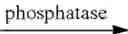 Fig. 23 - Fluorogenic/fluorescent probes derivative from sulfoxanthene, and use thereof