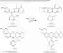 Fig. 79 - Fluorogenic/fluorescent probes derivative from sulfoxanthene, and use thereof