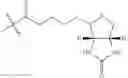 Fig. 03 - DOT1L probes