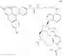 Fig. 06 - DOT1L probes