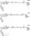Fig. 13 - DOT1L probes