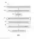 Fig. 06 - Bladder cancer detection composition, kit, and associated methods