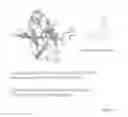 Fig. 18 - Genetically encoded sensors for imaging proteins and their complexes