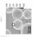 Fig. 36 - Genetically encoded sensors for imaging proteins and their complexes