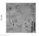 Fig. 43 - Genetically encoded sensors for imaging proteins and their complexes