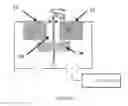 Fig. 04 - Chemistry, systems and methods of translocation of a polymer through a nanopore