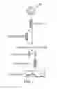 Fig. 06 - Proteomic identification of antibodies
