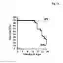 Fig. 02 - USE OF ALPHA-CRYSTALLIN B (CRYAB) IN THE ASSESSMENT OF HEART FAILURE