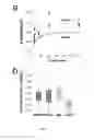 Fig. 07 - Diagnostic testing in dementia and methods related thereto