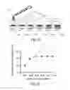 Fig. 02 - SYSTEM AND METHOD FOR EBOLA DETECTION
