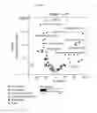 Fig. 05 - Sensitive Efficacy and Specificity Biomarkers for Proprotein Convertase Subtilisin/Kexin Type 9 (PCSK9) Inhibition