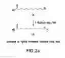 Fig. 05 - COMPOSITIONS AND METHODS FOR BINDING LYSOPHOSPHATIDIC ACID