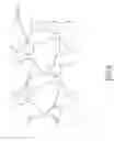 Fig. 07 - SUBSTRATE WITH MOTH EYE STRUCTURES AND METHOD OF MANUFACTURING THEREOF