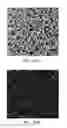 Fig. 24 - Brightness enhancing film with embedded diffuser
