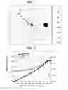 Fig. 08 - Imaging system and imaging optical system