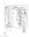 Fig. 02 - Optical scanning unit and image forming apparatus