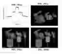 Fig. 15 - 3-dimensional electro-optical see-through displays