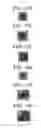 Fig. 10 - TONER AND TONER PRODUCING METHOD, AND DEVELOPER