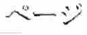 Fig. 02 - Developing device and image forming apparatus