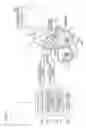 Fig. 07 - Developing device and image forming apparatus