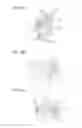 Fig. 06 - Rotor bearing member, photoconductor unit including the same, and image forming apparatus