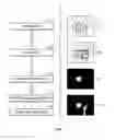 Fig. 08 - Apparatus and Method for Recognizing Motion in Spatial Interaction