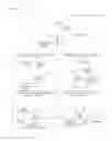 Fig. 16 - Video game using dual motion sensing controllers