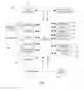 Fig. 02 - ELECTRONIC DEVICE AND METHOD OF CONTROLLING DISPLAY OF INFORMATION