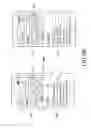 Fig. 12 - Electronic device and method of controlling object in electronic device