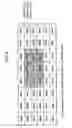 Fig. 05 - Image display apparatus and processing method for a thumbnail index mode in a device
