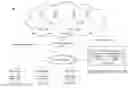 Fig. 01 - Source code management for a multi-tenant platform-as-a-service (PaaS) system