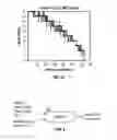 Fig. 07 - Read level grouping for increased flash performance