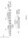 Fig. 28 - In-band interrupt time stamp