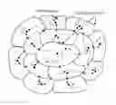 Fig. 01 - DYNAMICAL METHODS FOR SOLVING MIXED-INTEGER OPTIMIZATION PROBLEMS