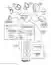 Fig. 02 - System and method for analyzing and deducing criteria-related content for evaluation