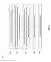 Fig. 10 - Versioned insert only hash table for in-memory columnar stores