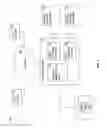 Fig. 02 - In-memory database system providing lockless read and write operations for OLAP and OLTP transactions